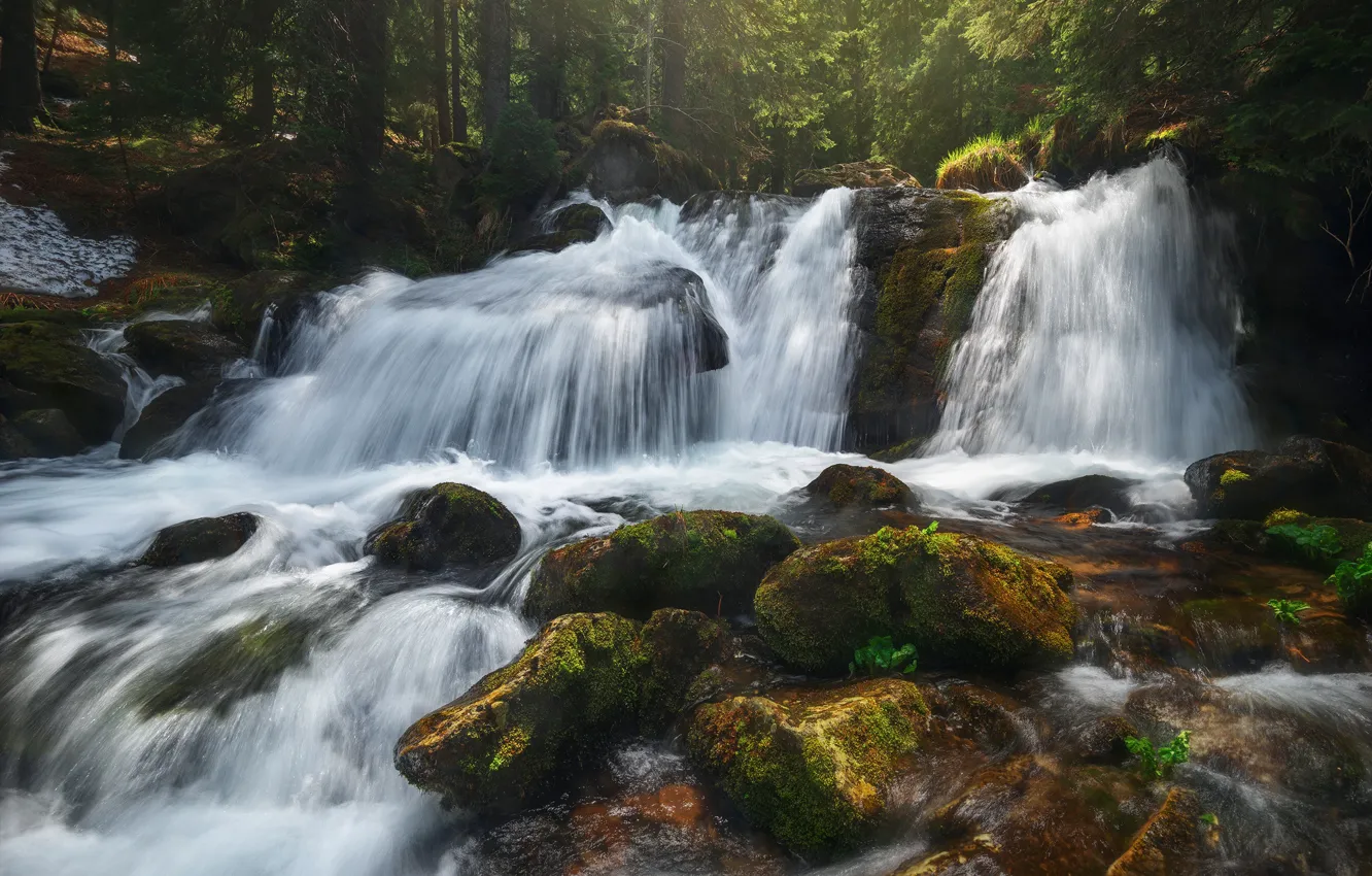 Фото обои лес, лето, камни, водопад, мох, поток, булыжники