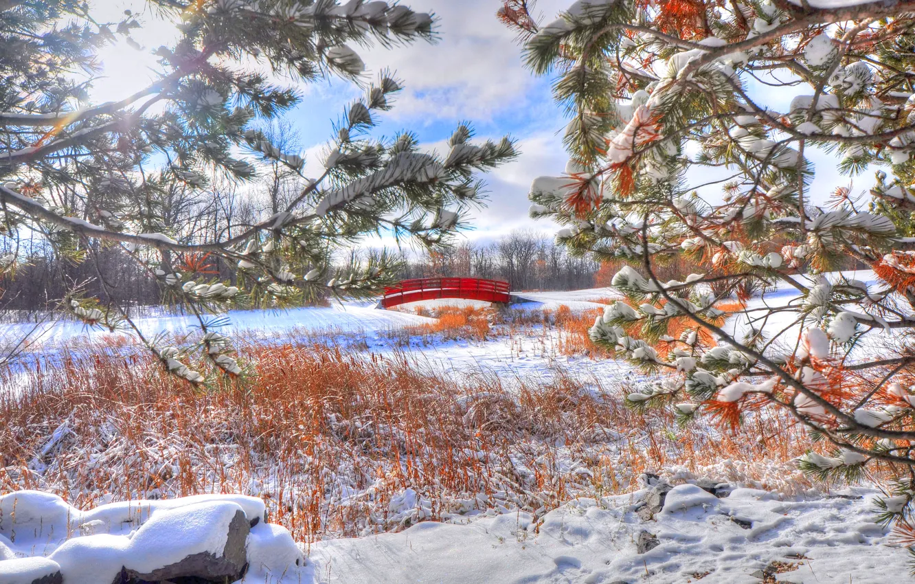 Фото обои зима, снег, природа, ветка, мостик