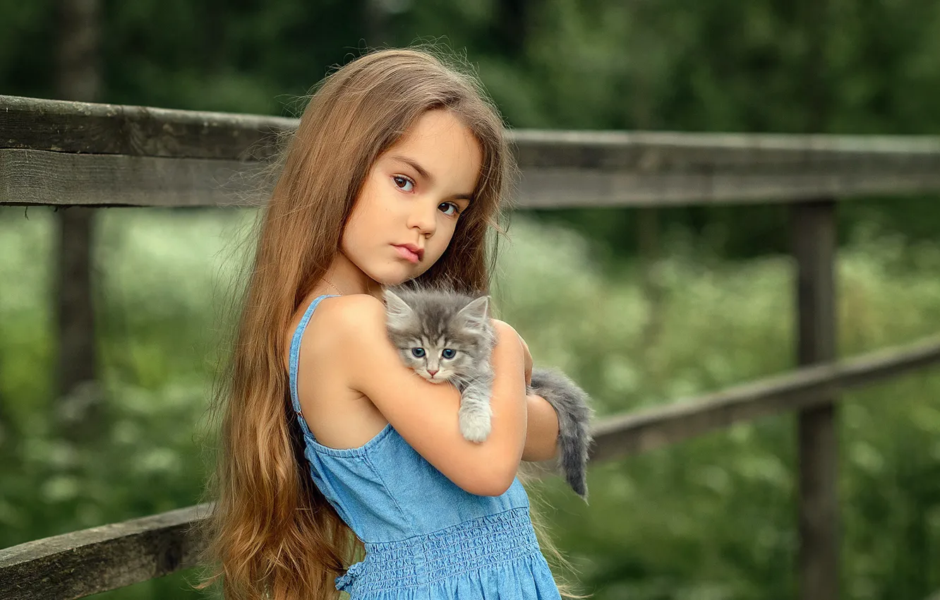 Фото обои взгляд, малыш, дружба, девочка, котёнок, друзья, длинные волосы
