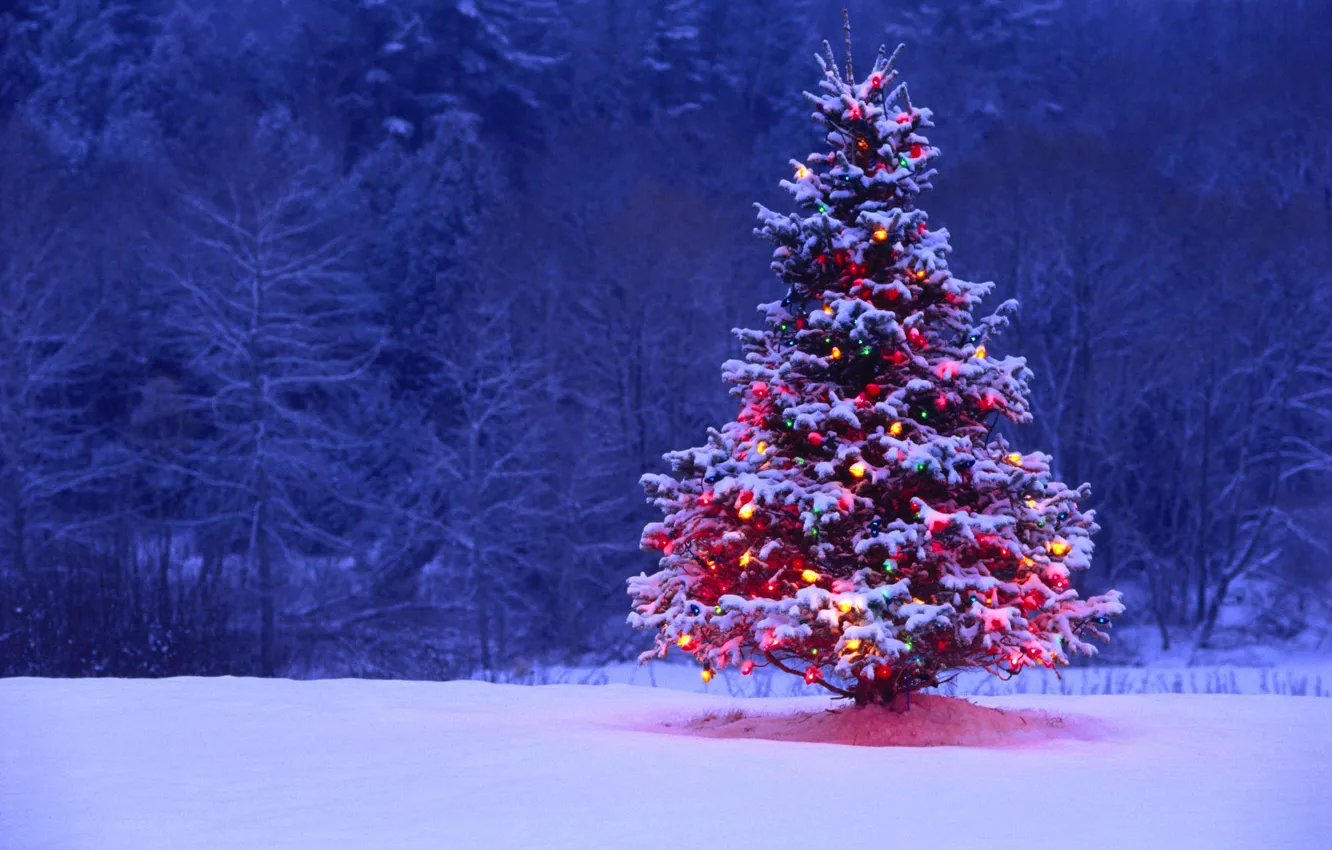 Фото обои снег, огни, елка, подсветка