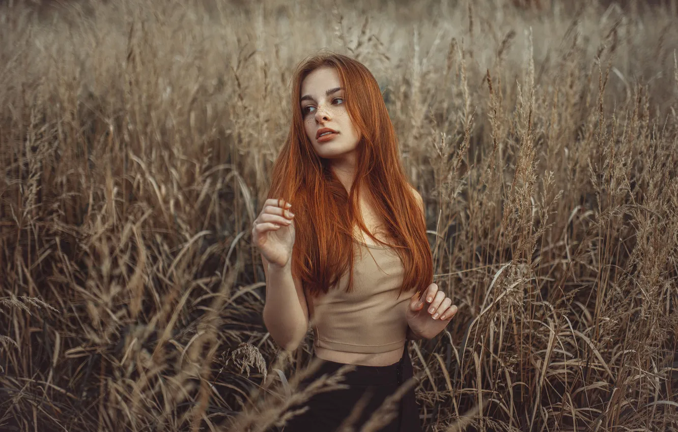 Фото обои поле, девушка, поза, рыжая, рыжеволосая, длинные волосы, Jiří Tulach