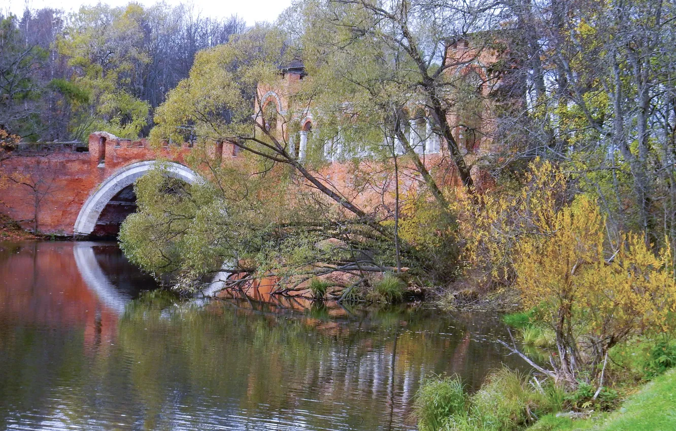 Фото обои осень, деревья, мост, парк, река, фото, широкоформатные, background