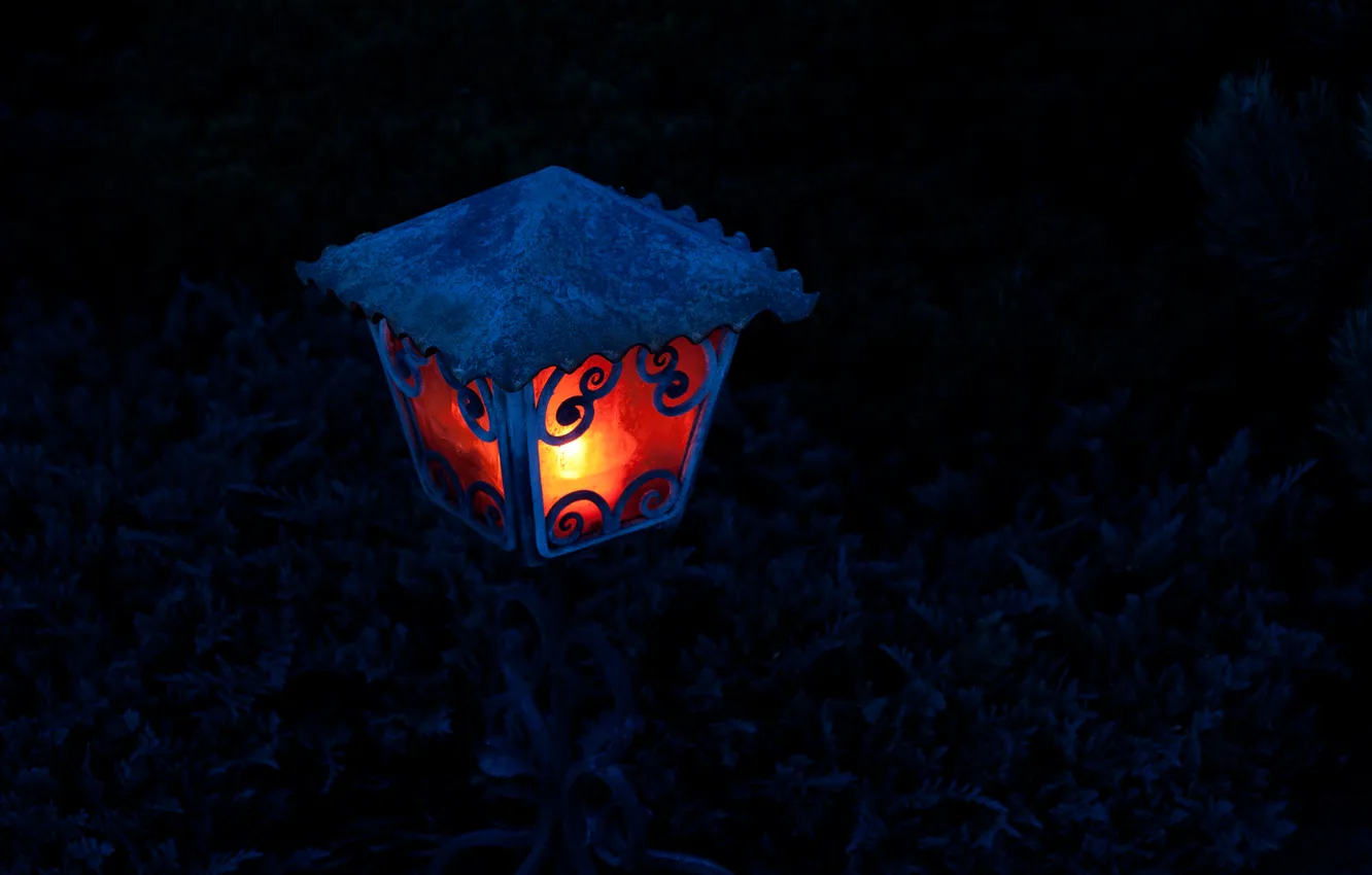 Фото обои свет, ночь, фонарь, light, night, 2560x1600, lantern