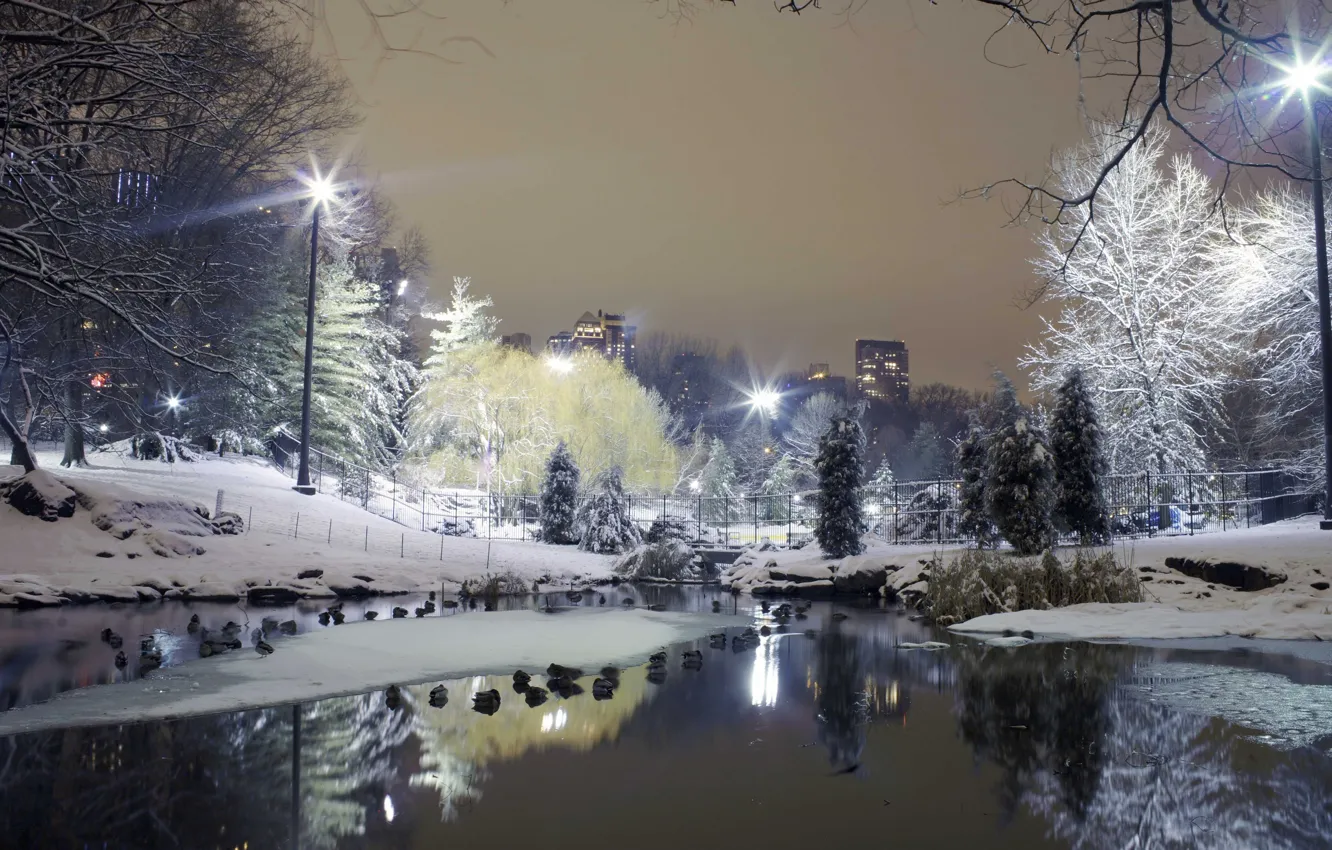 Фото обои зима, снег, деревья, город, парк, фонари, ставок