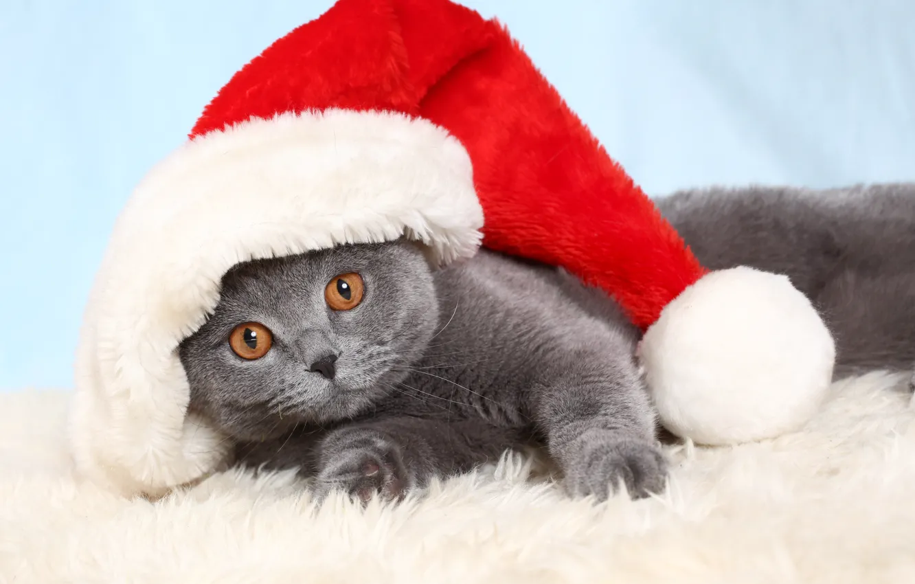 Фото обои праздник, Новый Год, Рождество, Christmas, как, New Year
