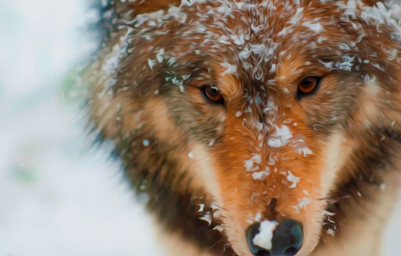 Фото обои fantasy, nature, art, snow, predator, face, animal, wolf