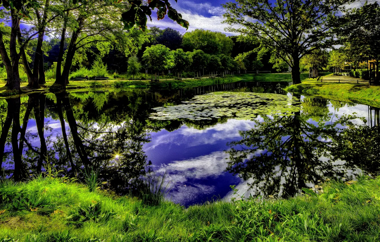Фото обои небо, трава, облака, деревья, пруд, Природа