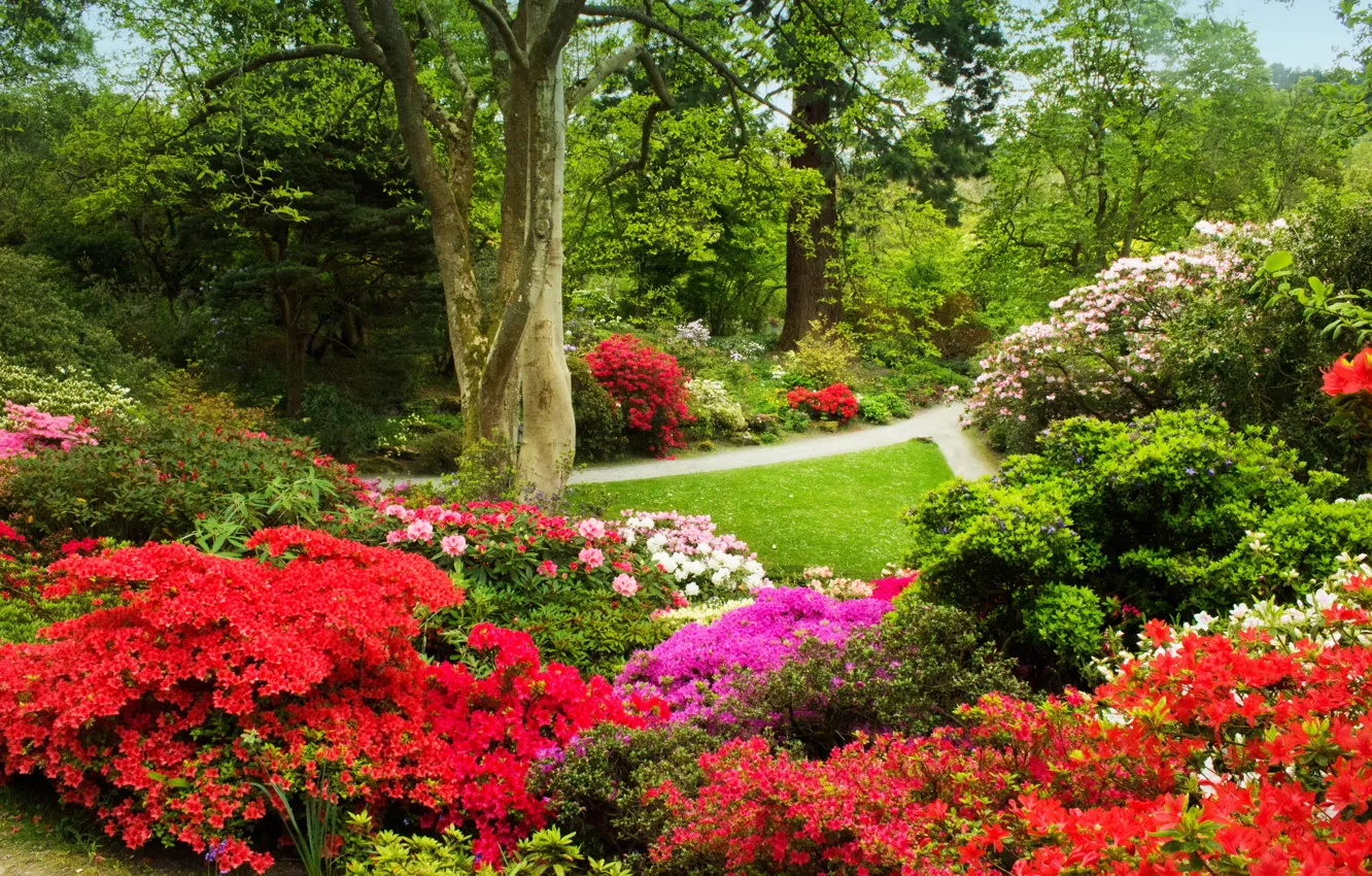 Фото обои зелень, трава, деревья, цветы, дорожки, сад, Великобритания, разноцветные
