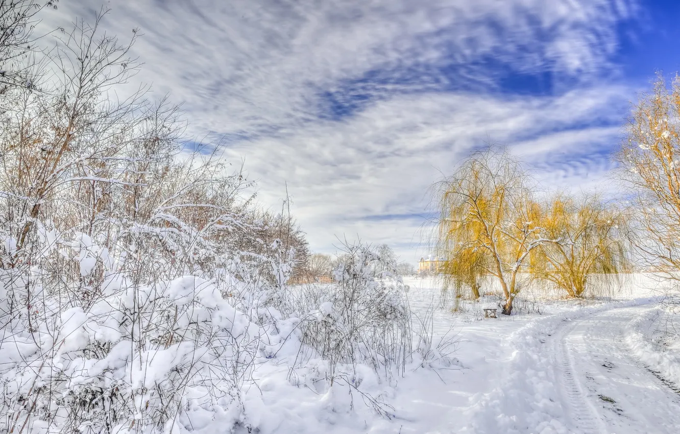 Фото обои зима, дорога, снег