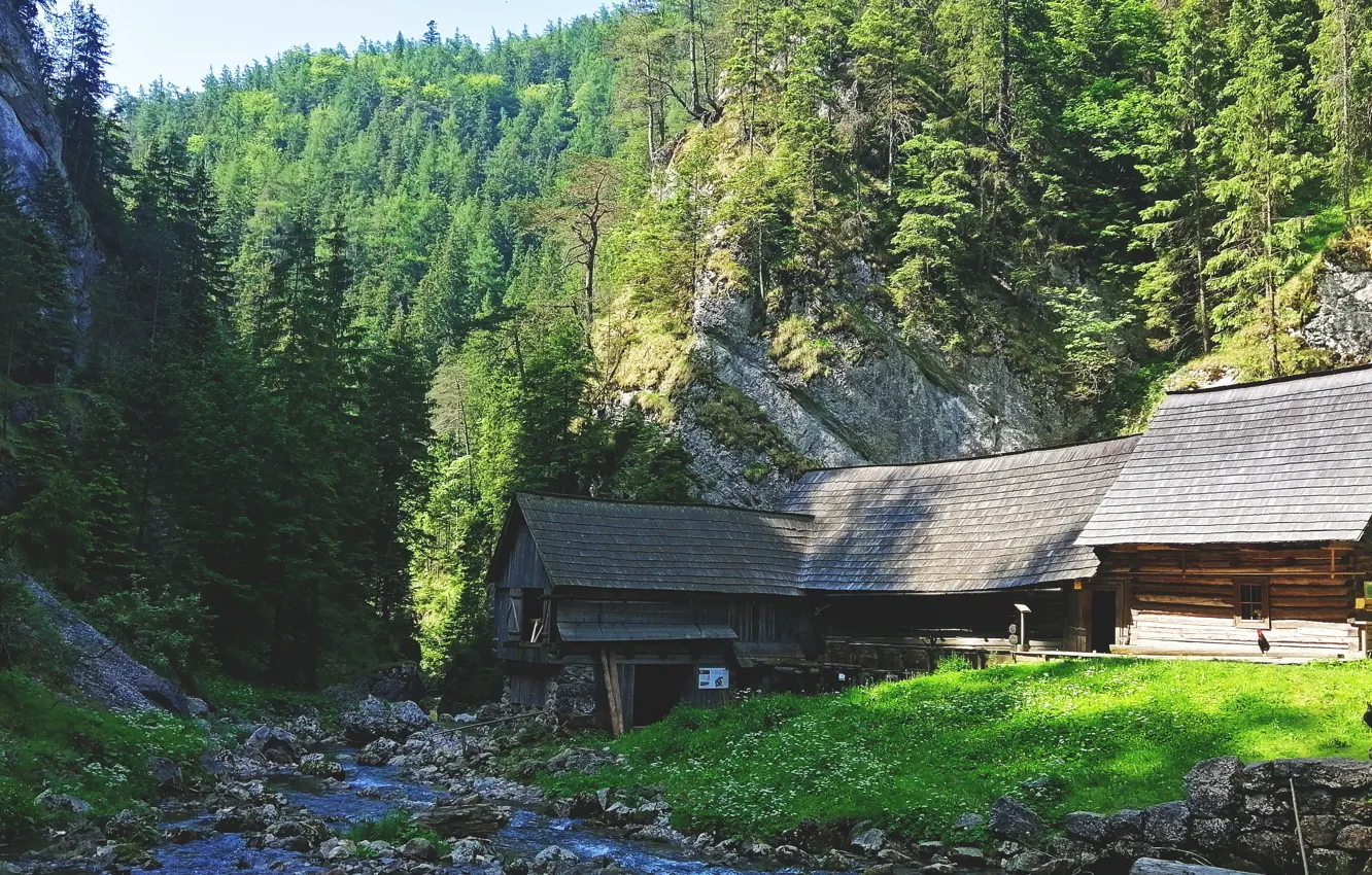 Фото обои forest, trees, rocks, cottage, stream, Slovakia, moutains