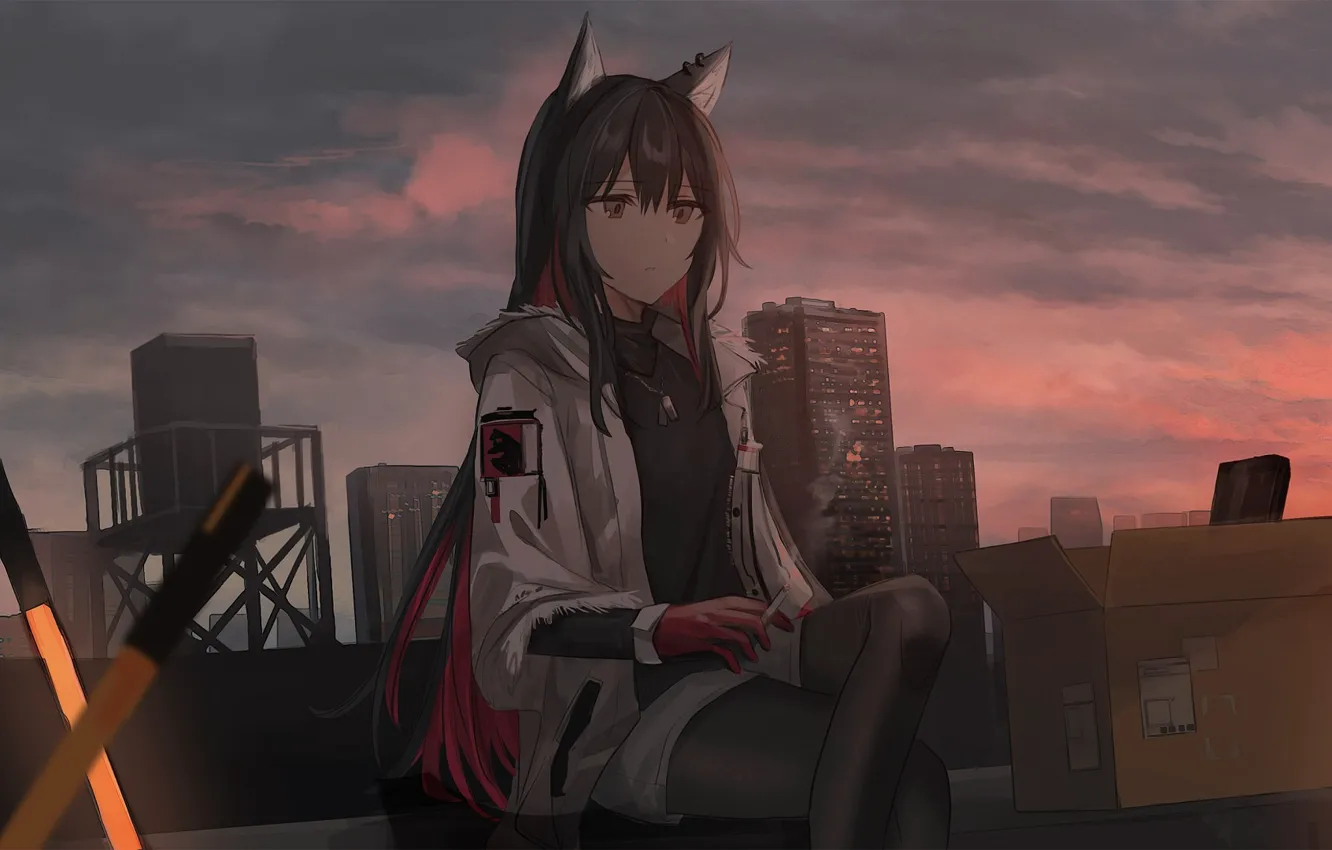 Фото обои девушка, неко, Texas, Arknights