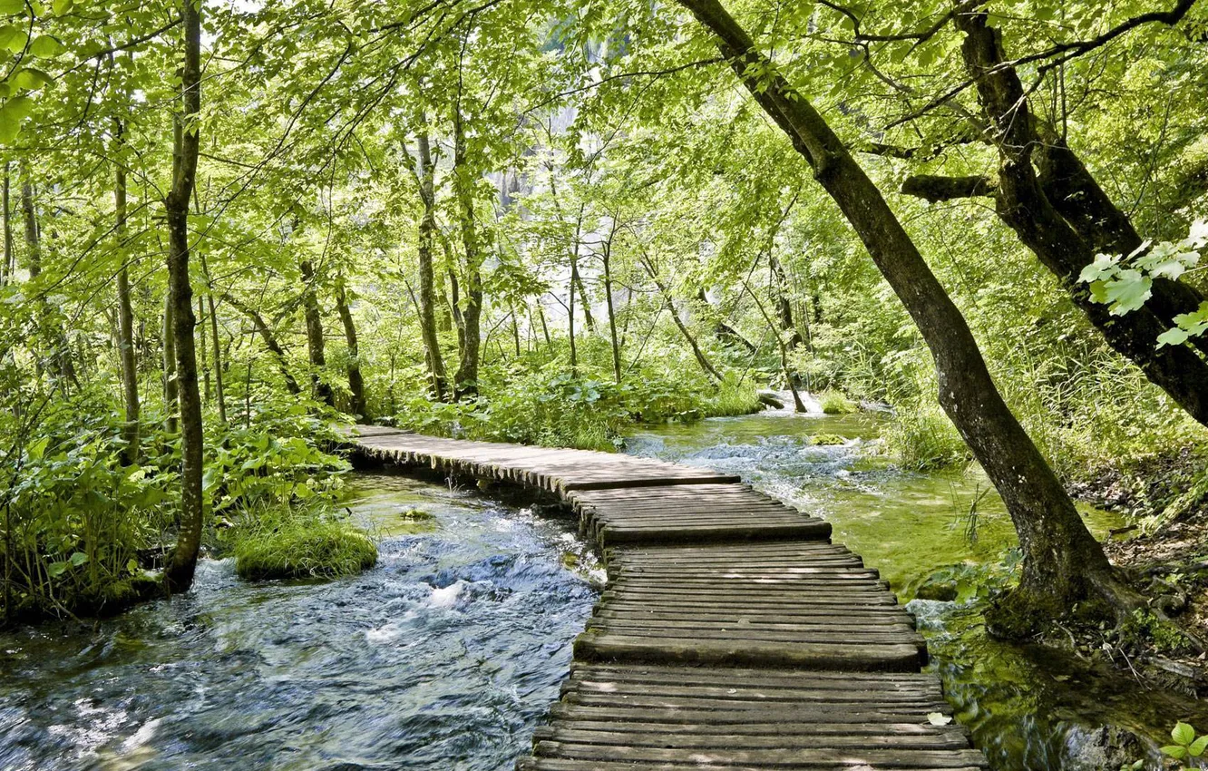 Фото обои вода, мост, природа, ручей