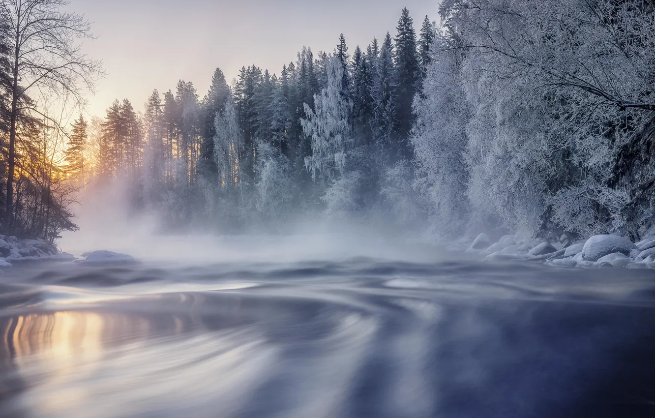 Фото обои зима, иней, лес, снег, деревья, озеро, рассвет, утро