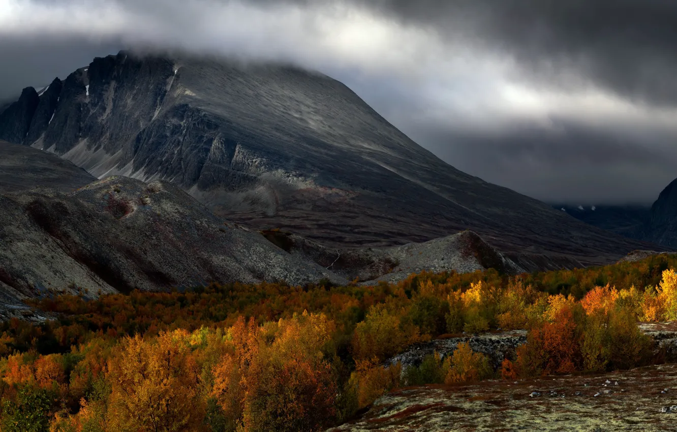 Фото обои осень, горы, туман