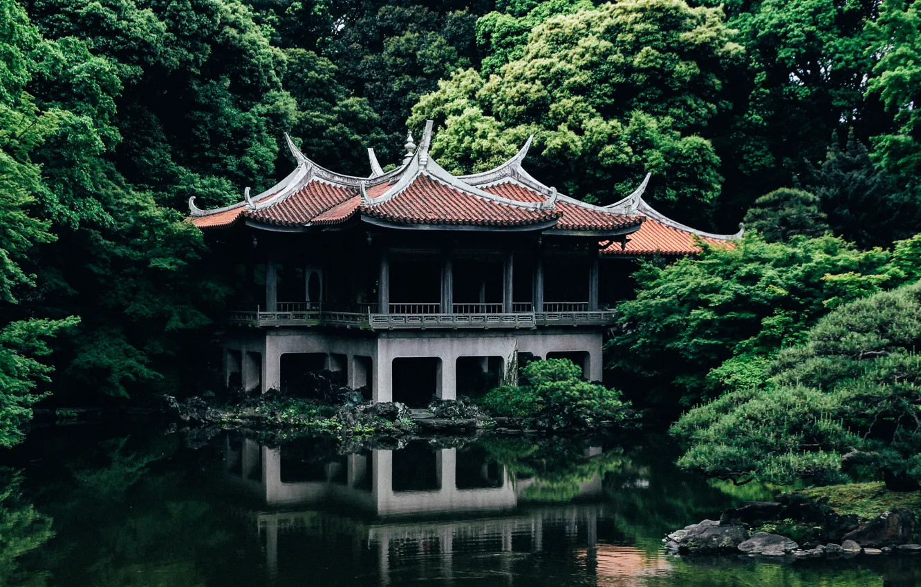 Фото обои Природа, Озеро, Деревья, Япония, Токио, Храм, Архитектура, Shinjuku Gyoen old Goryotei