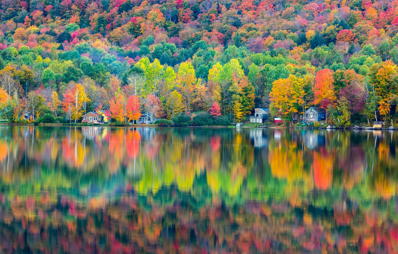 Фото обои осень, лес, озеро, отражение, дома