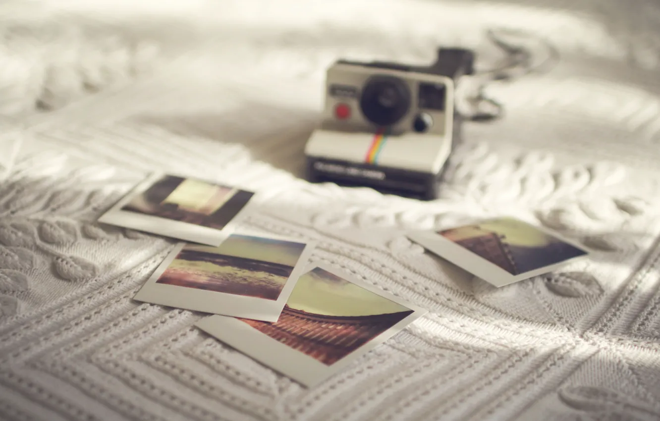 Фото обои camera, photos, sunlight, Polaroid