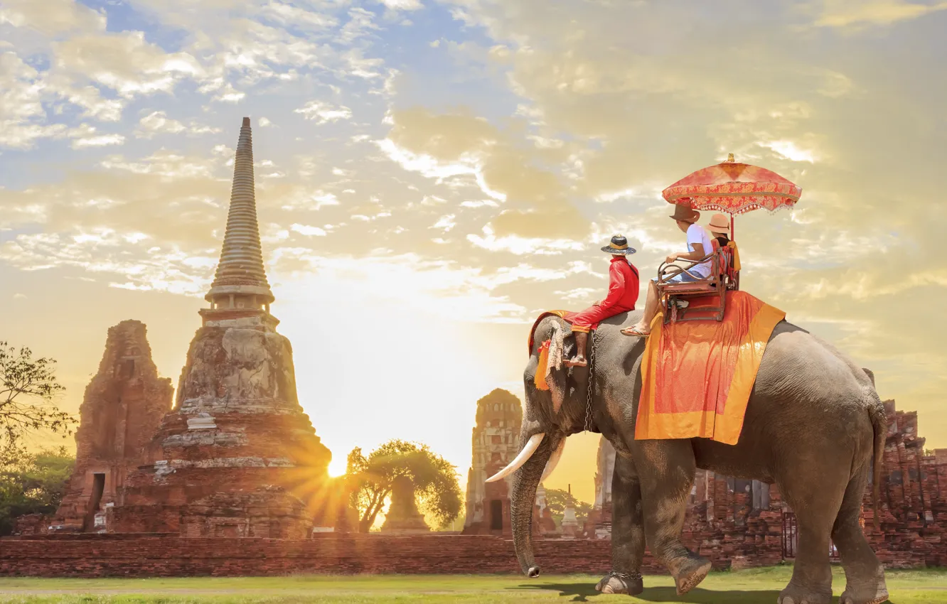 Фото обои Люди, Рассвет, Таиланд, Слон, Thailand, Southeast Asia, Юго-Восточная Азия, Sukhothai Historical Park