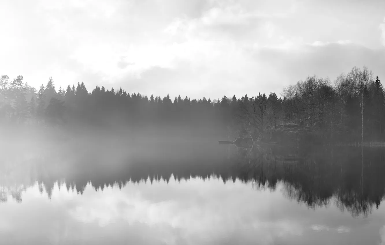 Фото обои вода, деревья, туман, гладь, отражение, Mirror, by Robin De Blanche