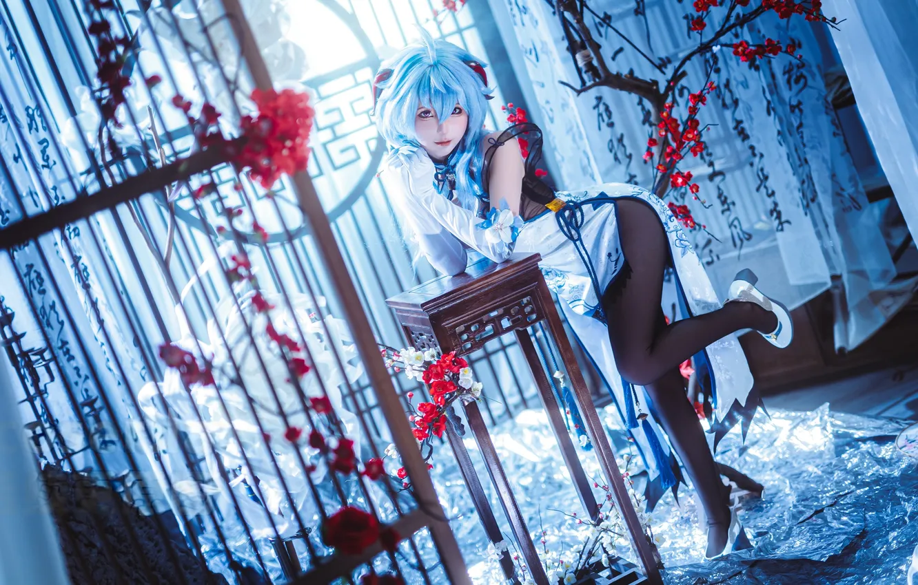 Фото обои Asian, model, women, cosplay, pantyhose, Genshin Impact, Chun Momo, Ganyu Impact)