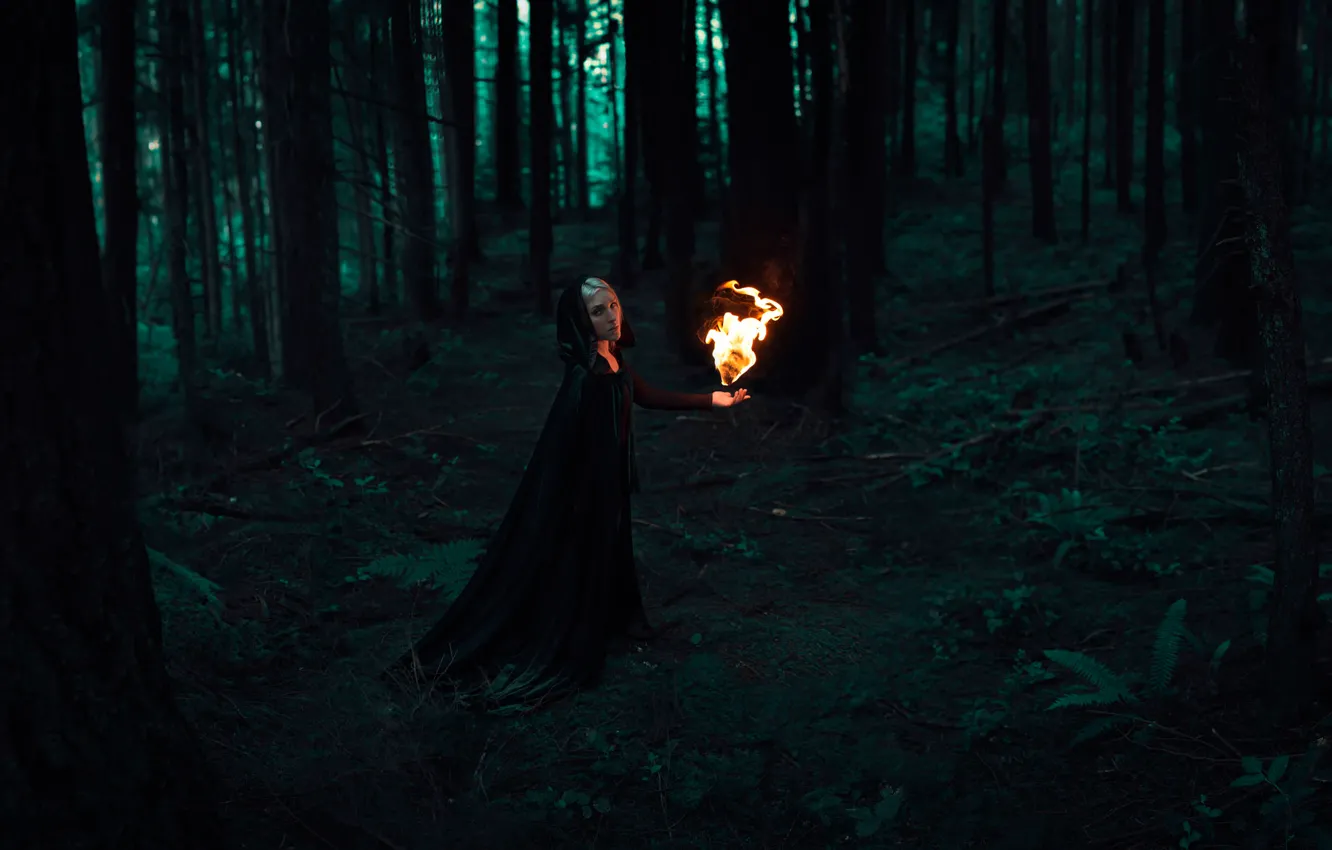 Фото обои лес, девушка, огонь, clandestine evolution