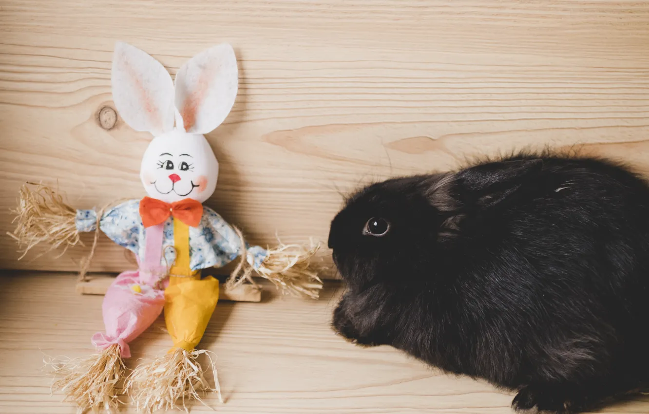Фото обои игрушка, заяц, Кролик