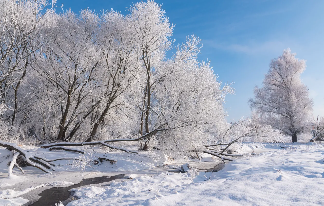 Фото обои зима, иней, снег, деревья, пейзаж, природа, мороз, речушка