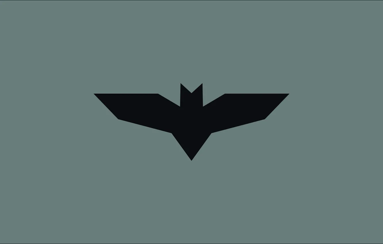 Фото обои logo, Batman, minimalism, bat, Justice League