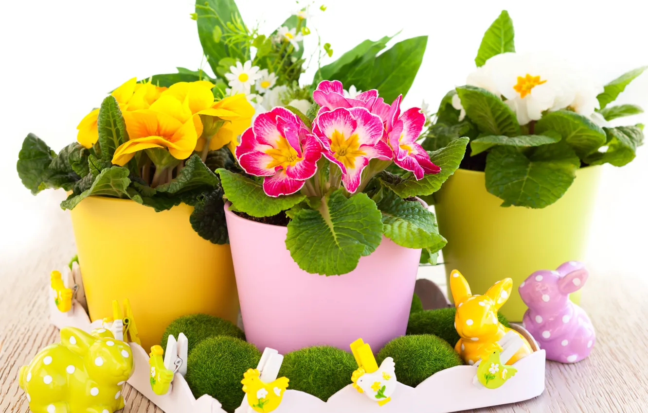 Фото обои цветы, праздник, весна, Пасха, кролики, прищепки, Easter, петушки