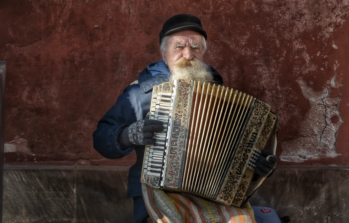 Фото обои музыка, старик, аккордеон