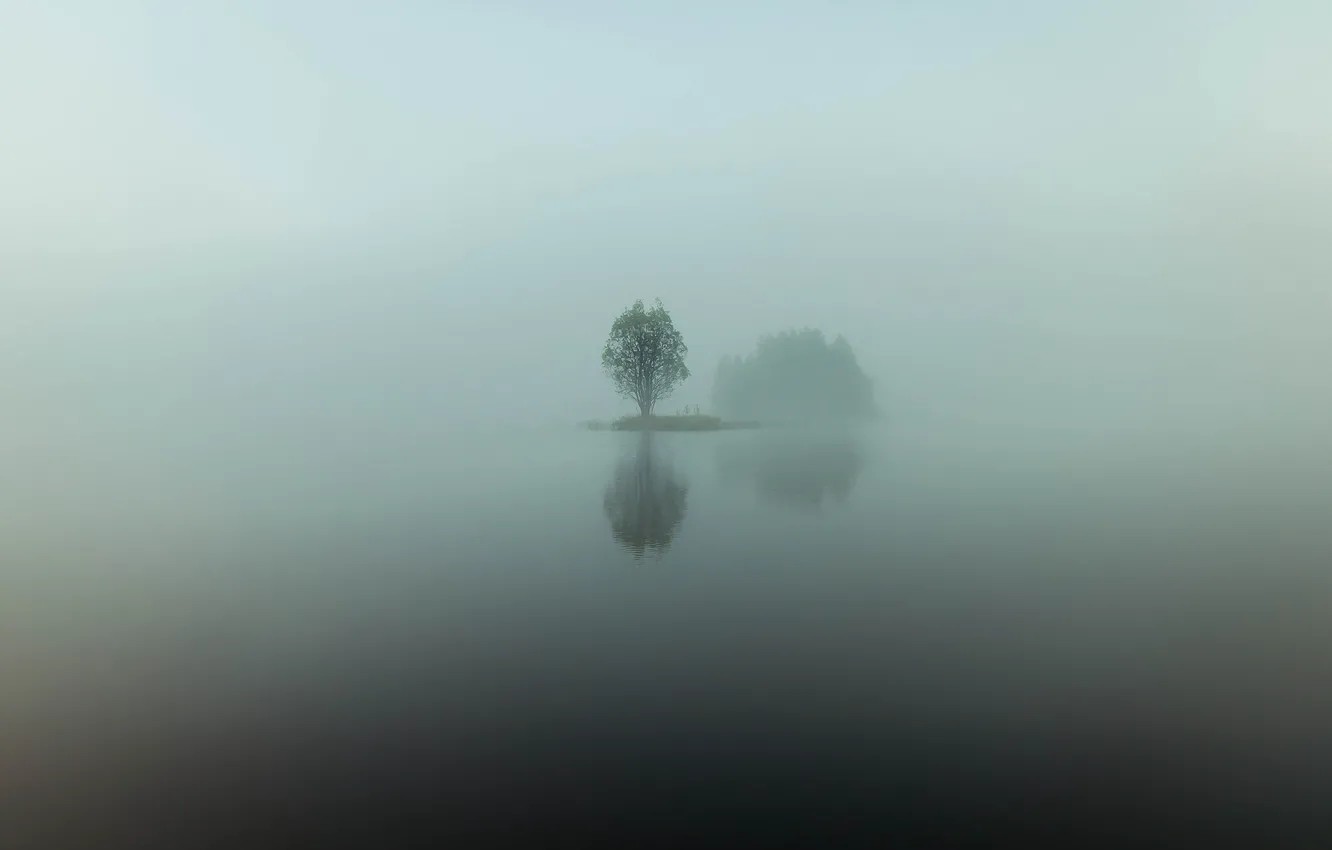 Фото обои вода, отражения, туман, озеро, дерево, остров, минимализм, утро