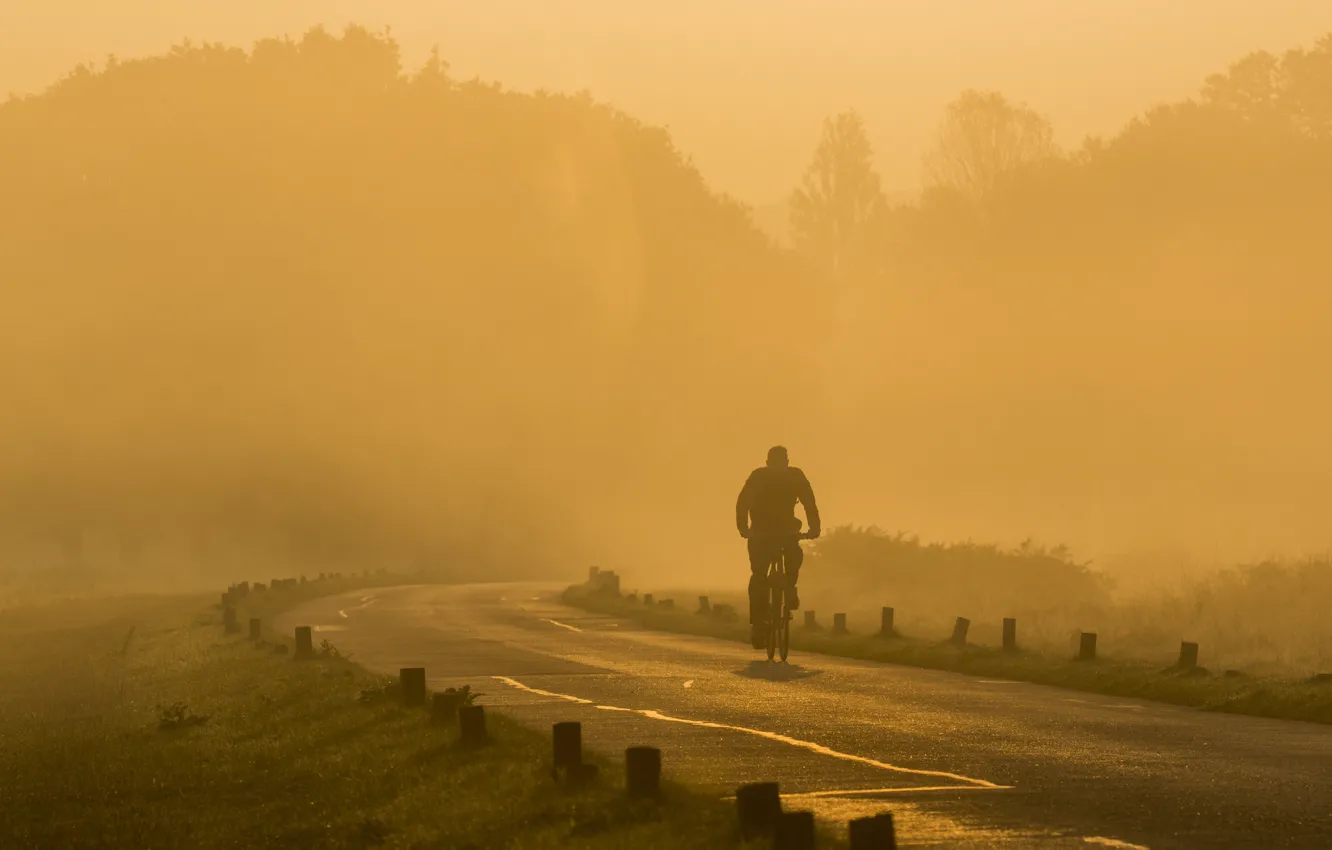 Фото обои дорога, утро, велосипедист