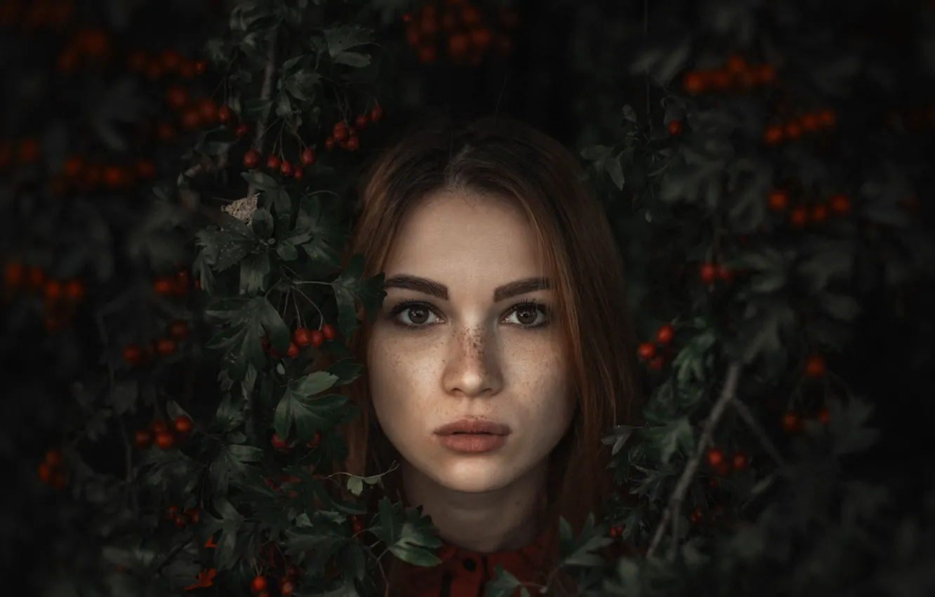 Фото обои листья, девушка, лицо, портрет, рыжая, Александр Тишкевич