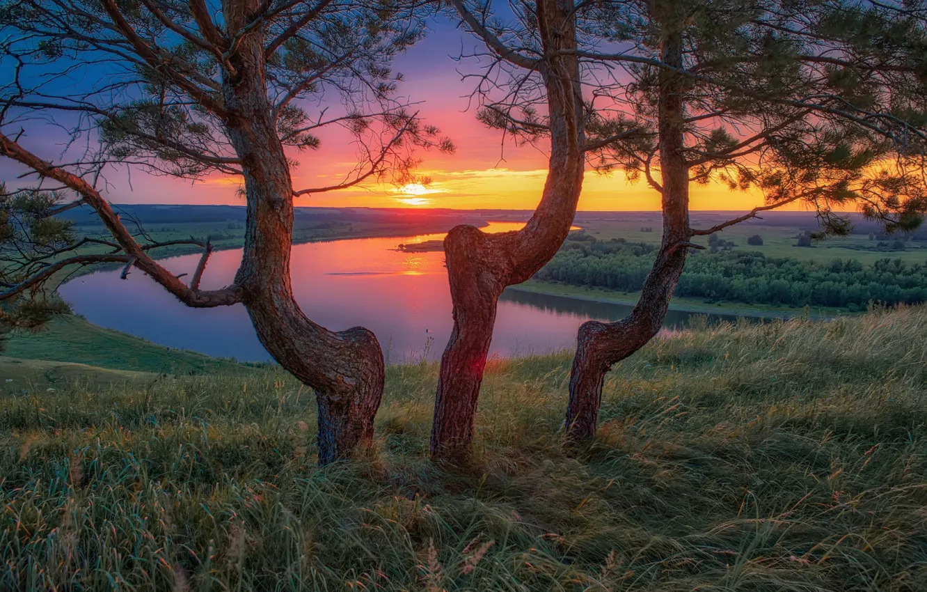 Фото обои деревья, пейзаж, закат, природа, река, сосны, Уфа, Алексей Никитин