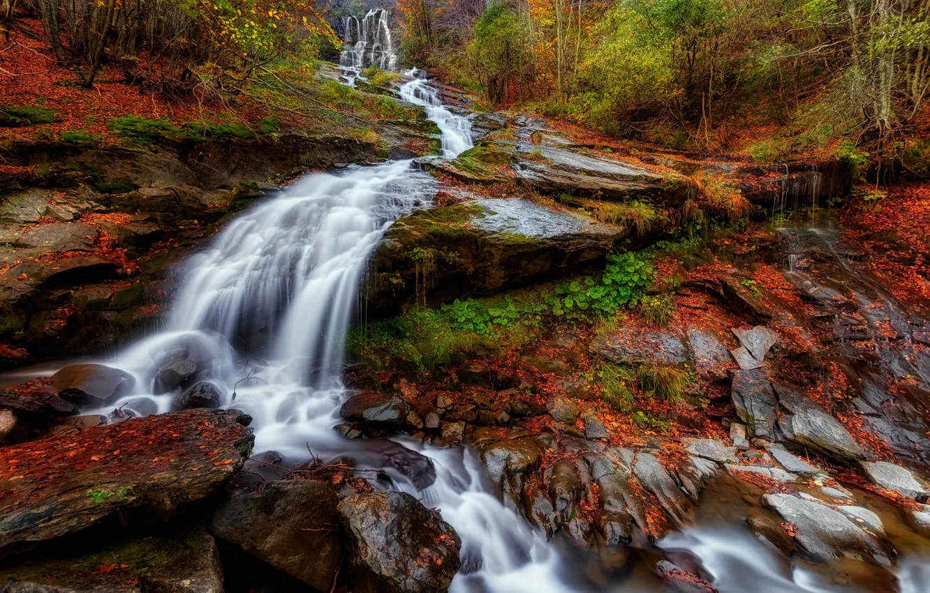 Фото обои осень, лес, листья, природа, река, водопад