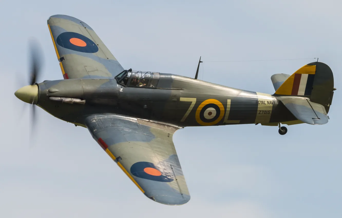 Фото обои истребитель, британский, одноместный, Sea Hurricane