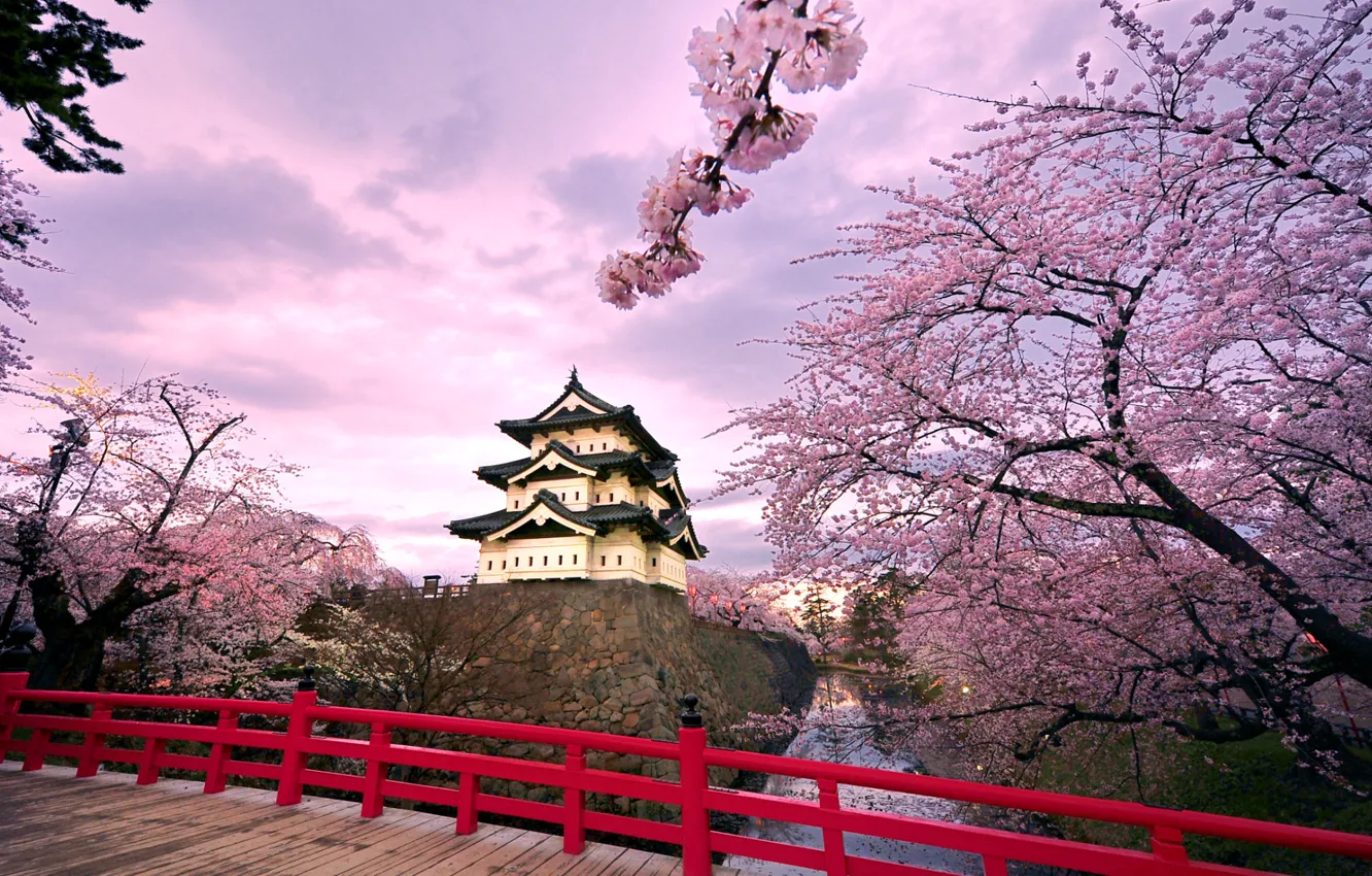 Фото обои небо, облака, деревья, мост, пруд, замок, Япония, сакура