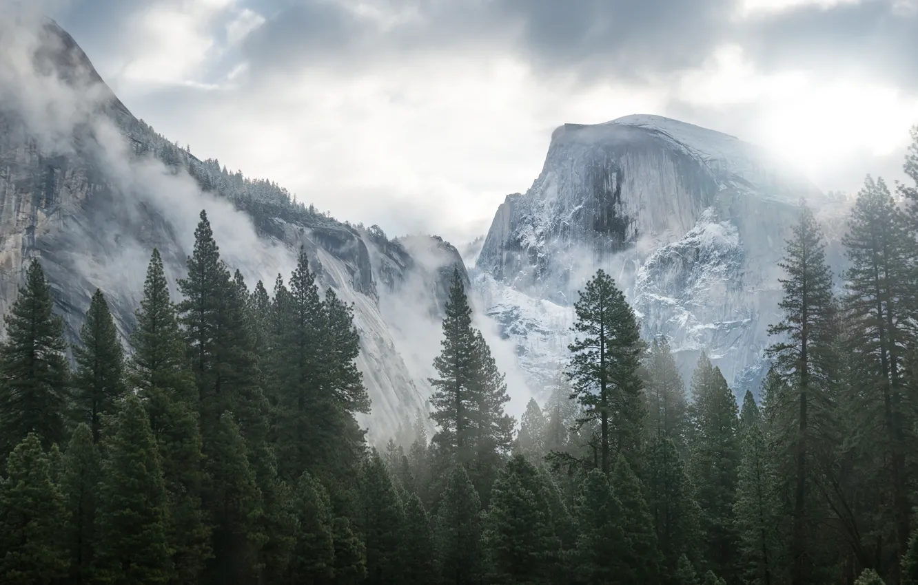 Фото обои лес, горы, apple, mac, Yosemite