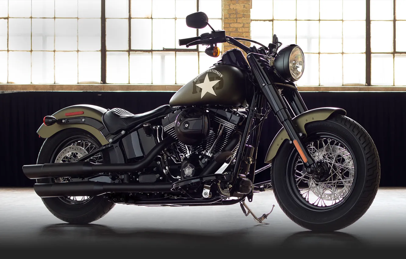 Фото обои moto, bike, power, american, Harley-Davidson, Slim, Softail, 2016