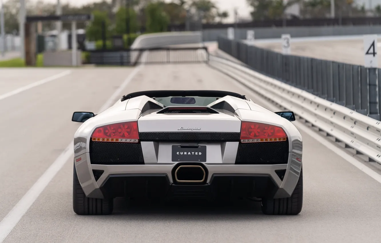 Фото обои Lamborghini, Murcielago, lambo, rear view, Lamborghini Murcielago LP640 Roadster