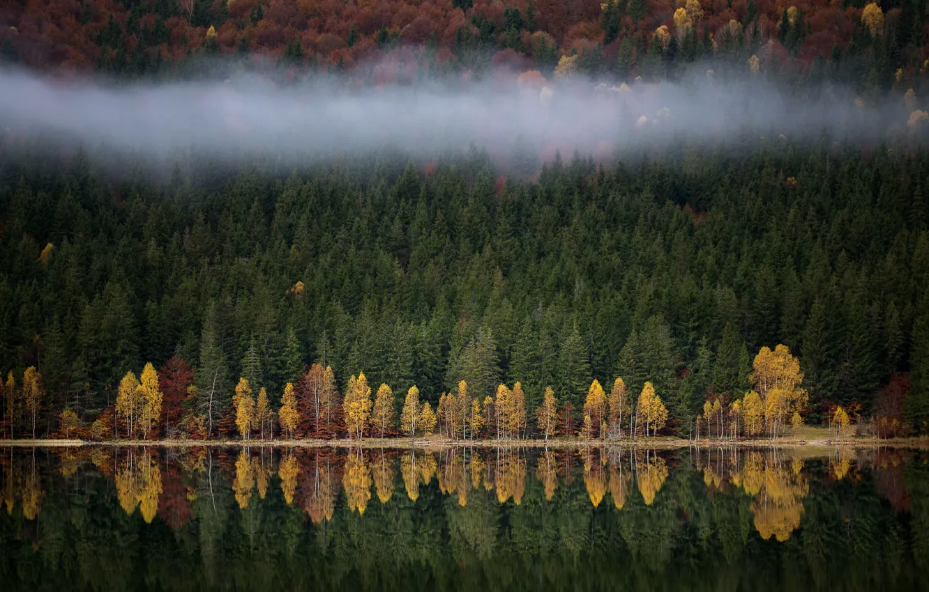Фото обои осень, лес, природа, туман, озеро, река