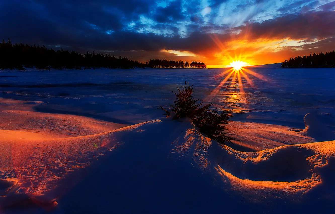 Фото обои зима, солнце, рассвет
