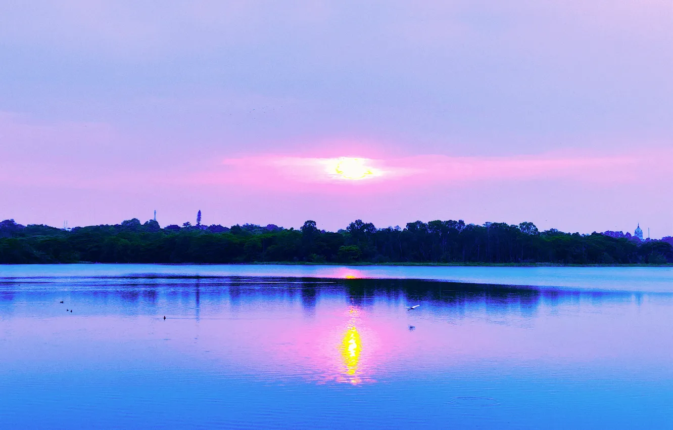 Фото обои Sky, Sun, Water, Sunrise, Dawn, Bird, Morning, Lake