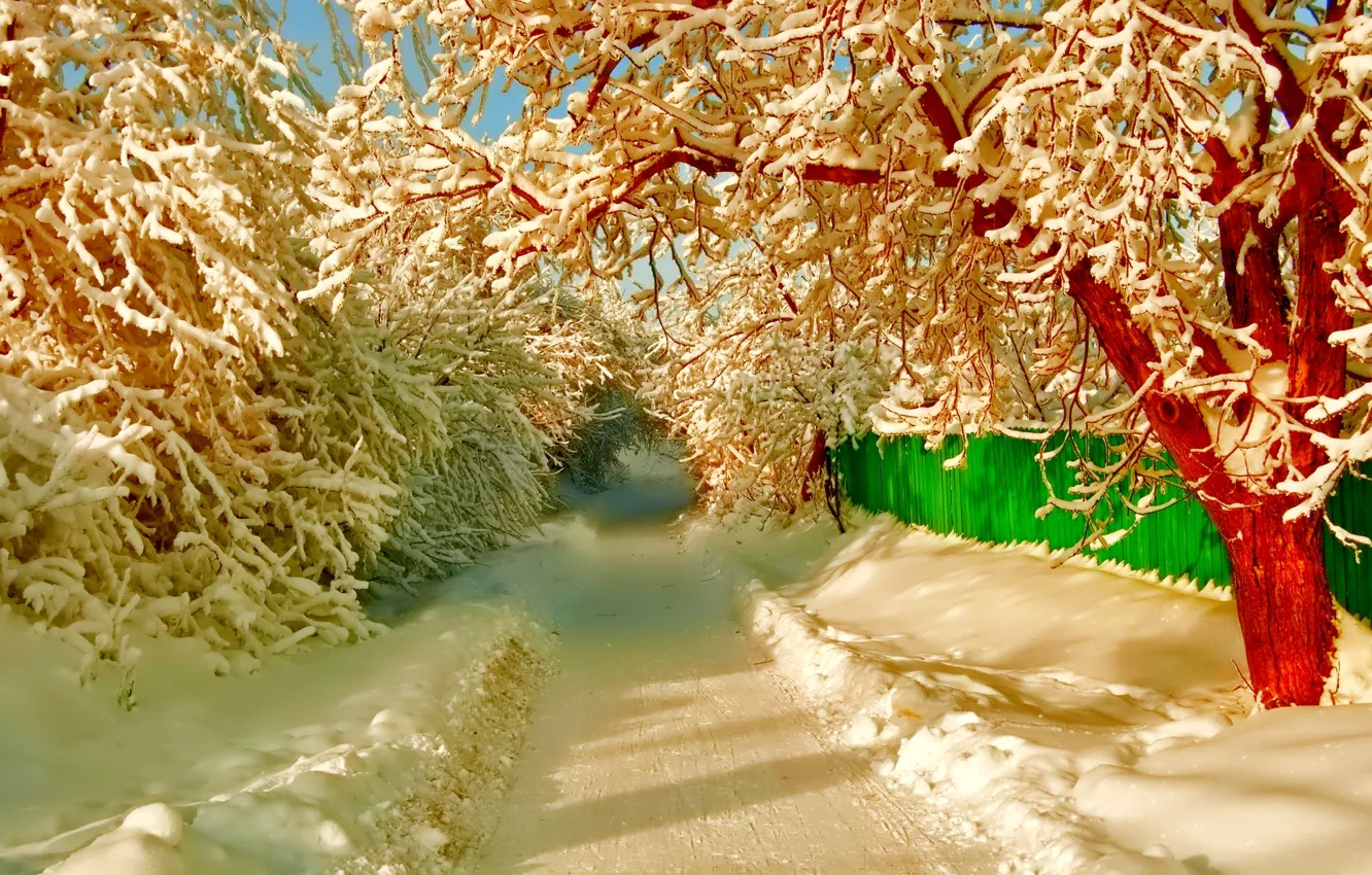 Фото обои зима, дорога, снег, деревья, улица, забор