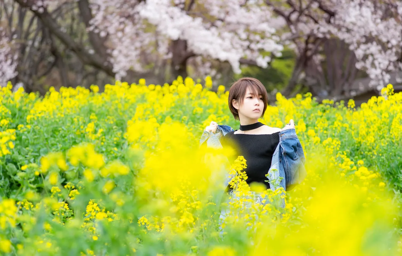 Фото обои поле, девушка, цветы, поляна, весна, желтые, сад, азиатка