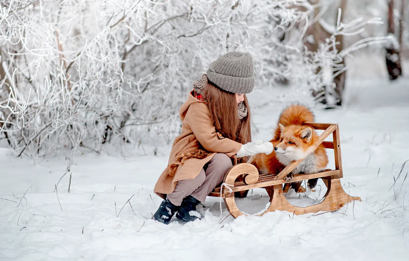 Фото обои зима, снег, настроение, лиса, девочка, рыжая, друзья, санки