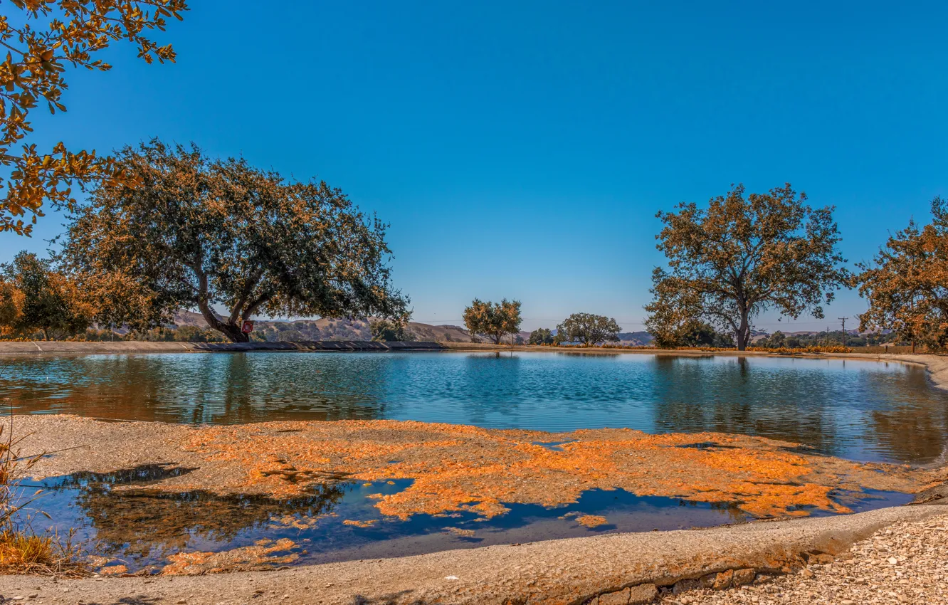 Фото обои осень, небо, деревья, озеро, голубое, Калифорния, США, солнечно