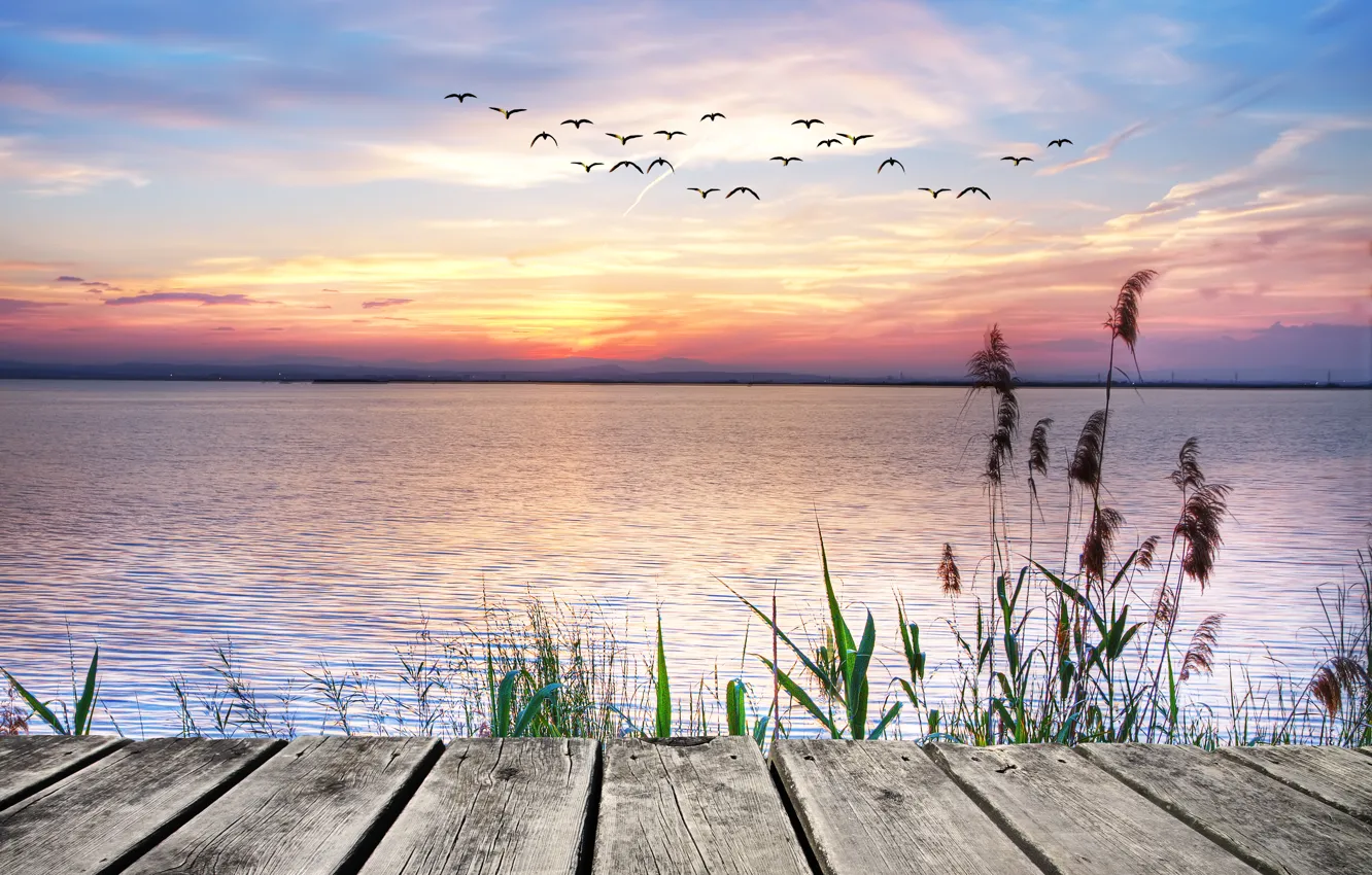 Фото обои закат, озеро, чайки, landscape, sunset, lake