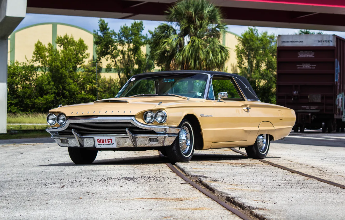 Фото обои Ford, форд, 1964, Thunderbird, тандерберд