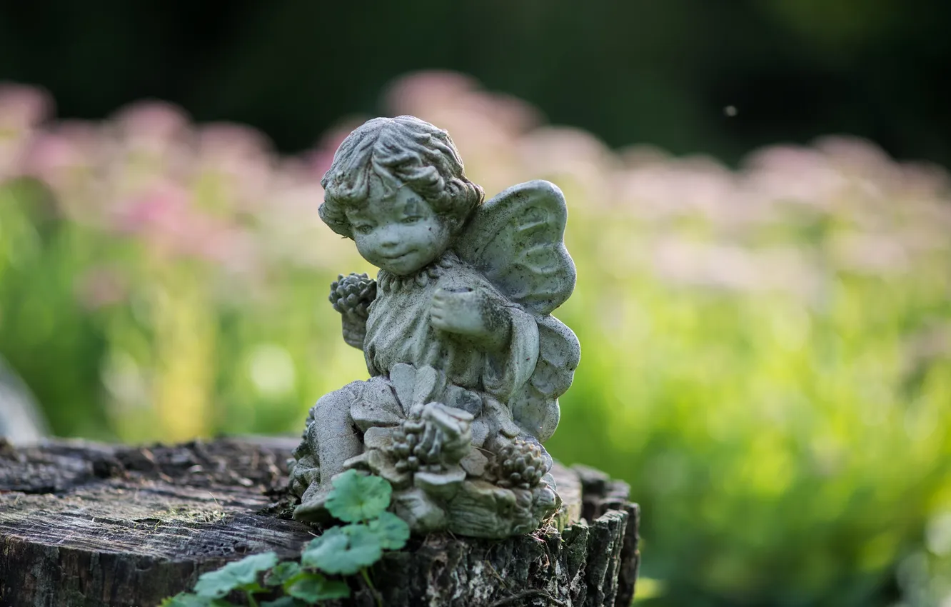 Фото обои листья, пень, ангел, статуэтка